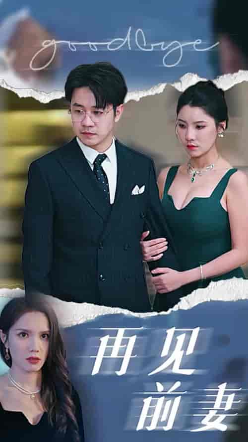 再见前妻（40集全） - 海之城短剧
