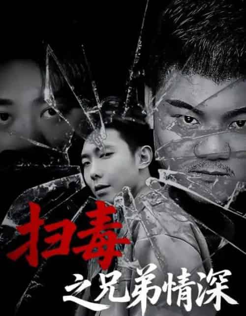 扫毒之兄弟情深（50集） - 海之城短剧