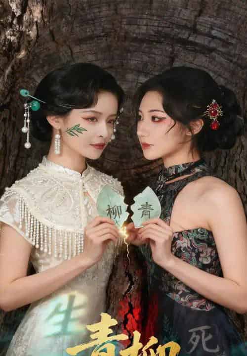 青柳（79集全）沈国洋＆王思瑾 - 海之城短剧