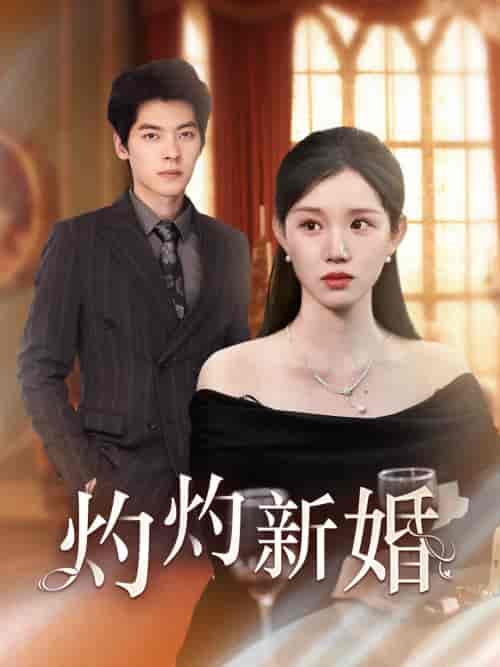 灼灼新婚（70集）代代 - 海之城短剧