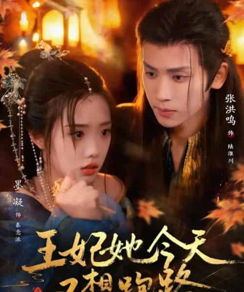 王妃她今天又想跑路（62集全）墨凝＆张洪鸣-海之城短剧项目