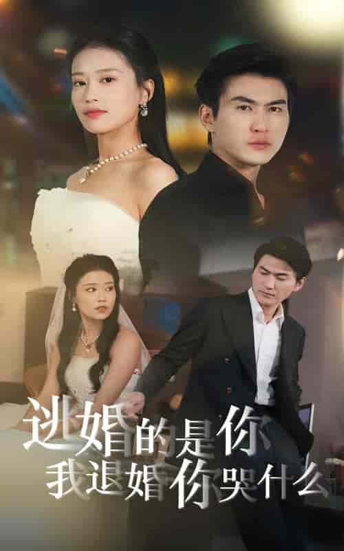 逃婚的是你我退婚你哭什么（71集全） - 海之城短剧