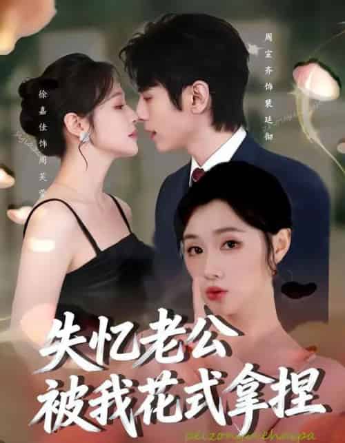 失忆老公被我花式拿捏（86集全）周宣齐＆徐嘉佳-海之城短剧项目