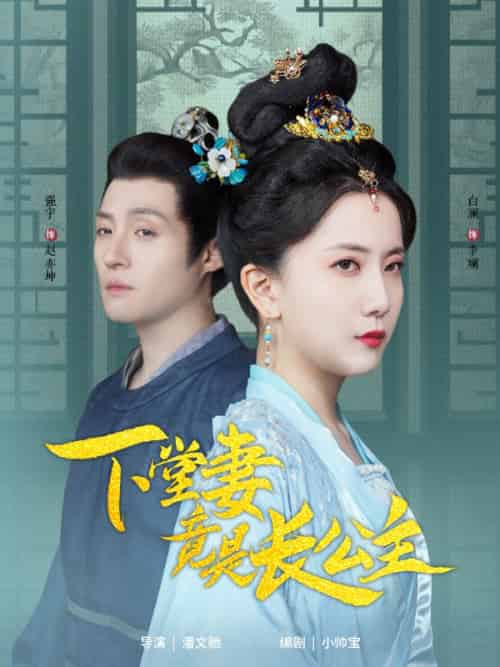 下堂妻竟是长公主（74集全）赵亦坤＆李斓 - 海之城短剧