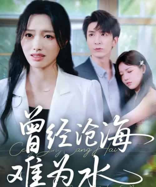 曾经沧海难为水（60集全）韩旭＆王梦佳-海之城短剧项目