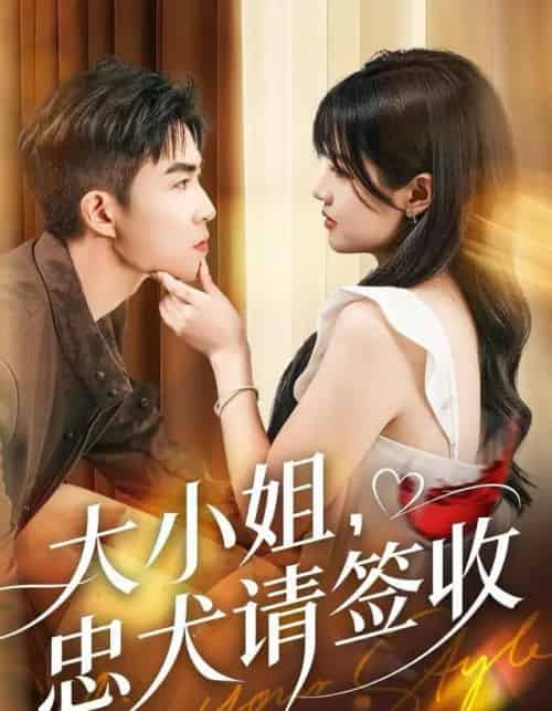 大小姐，忠犬请签收（61集全）曹千祎＆关丁弋-海之城短剧项目