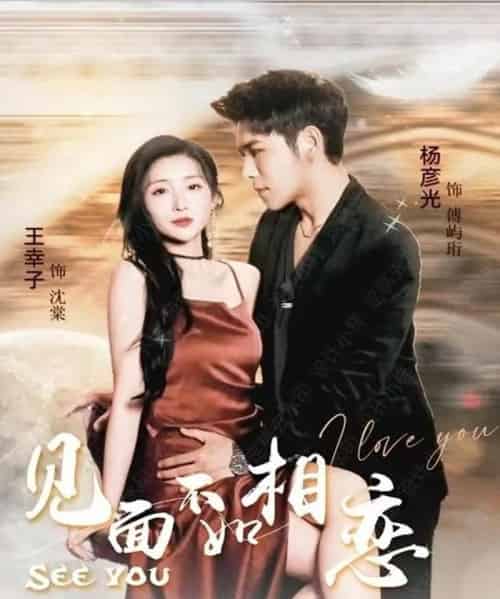 见面不如相恋（71集）杨彦光＆王幸子 - 海之城短剧