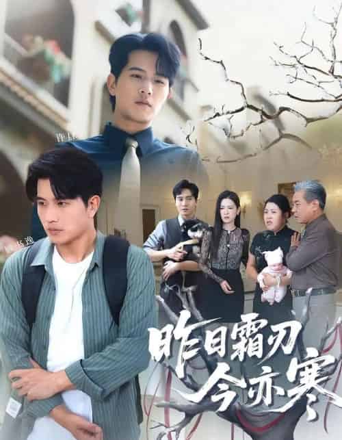 昨日霜刃今亦寒（80集）梅瑞滢＆李刘朋-海之城短剧项目