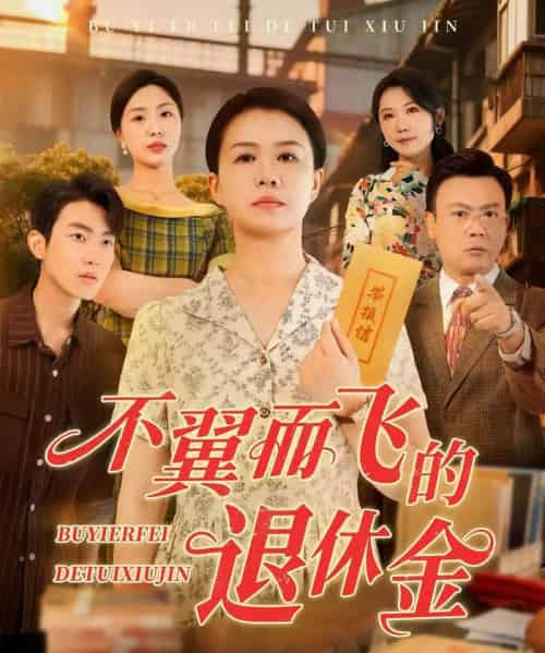 不翼而飞的退休金（63集）刘辛滢＆张宝龙-海之城短剧项目