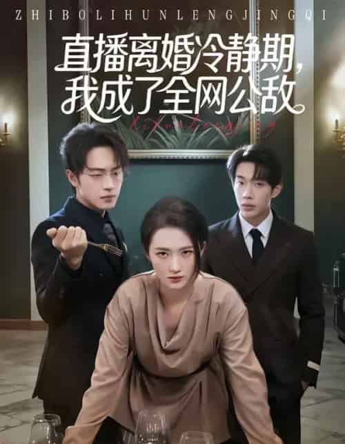 直播离婚冷静期，我成了全网公敌（70集全）于斯年＆江潼-海之城短剧项目