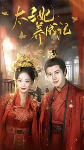 太子妃养成记 太子妃养成记