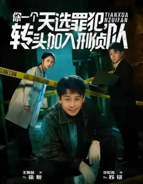 你一个天选罪犯，转头加入刑侦队（80集全）李世鑫＆王姝懿-海之城短剧项目