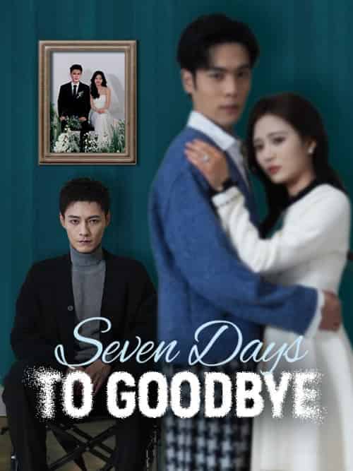 Seven Days to Goodbye（45集全）Jake＆Grant＆＆Rena＆Jonas - 海之城海外短剧
