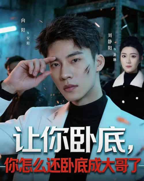 让你卧底，你怎么还卧成大哥了（80集全）向阳公主＆刘静阳-海之城短剧项目