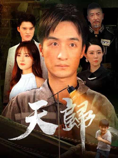 天歸（96集全）林天＆孟盛瑛 - 海之城海外短剧