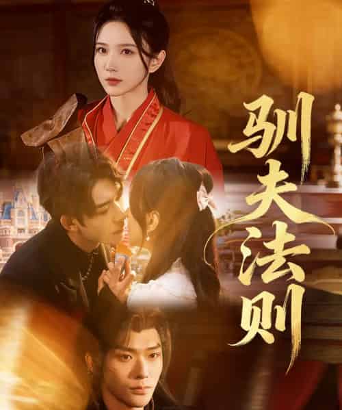 驯夫法则（69集全）曹天睿（曹皓添）＆高明君-海之城短剧项目