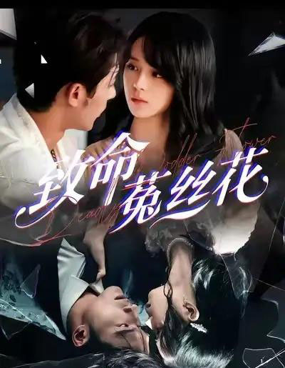 致命菟丝花（66集全）车超炎＆王英杰-海之城短剧项目