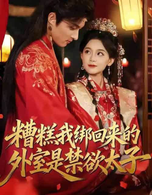 糟糕我绑回来的外室是禁欲太子（90集全）邱嘉棋＆薛景元-海之城短剧项目