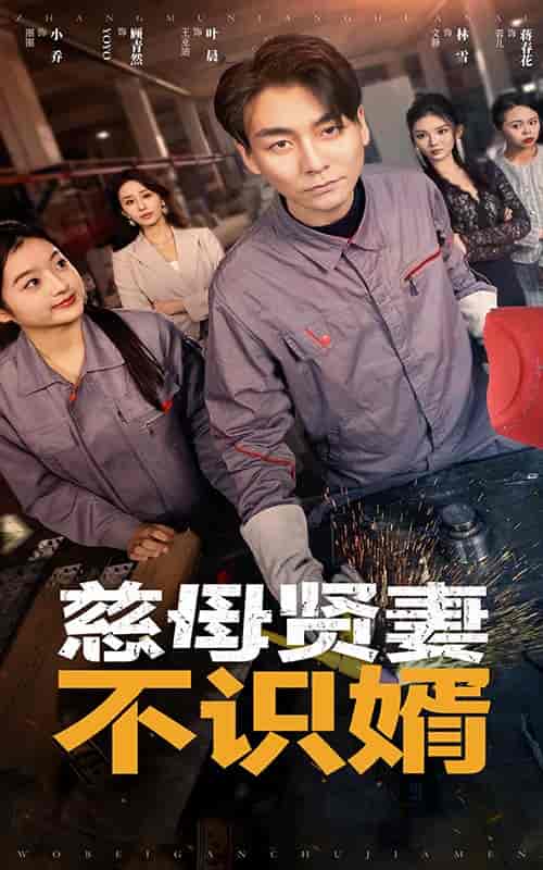 慈母贤妻不识婿（45集全） - 海之城短剧