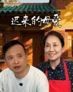 迟来的母爱（42集全）宋军-海之城短剧项目