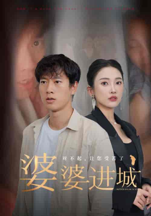 婆婆进城 婆婆进城