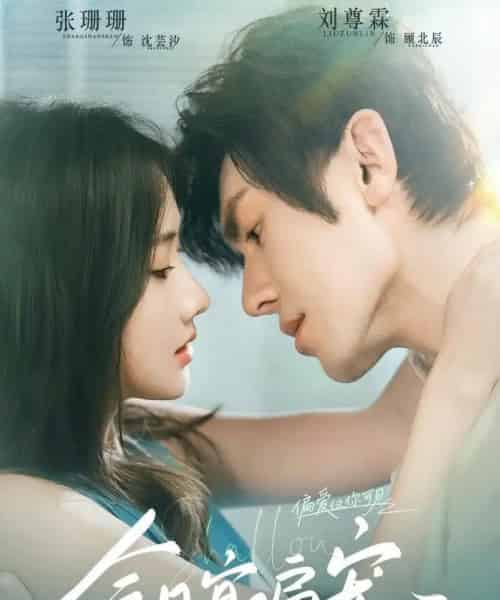 今日宜偏宠 （70集）刘尊霖＆张珊珊-海之城短剧项目