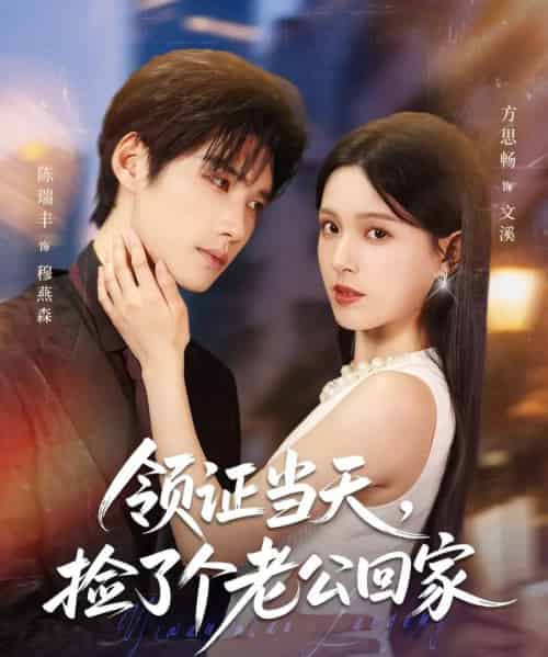 领证当天捡了个老公回家（81集）陈瑞丰＆方思畅-海之城短剧项目