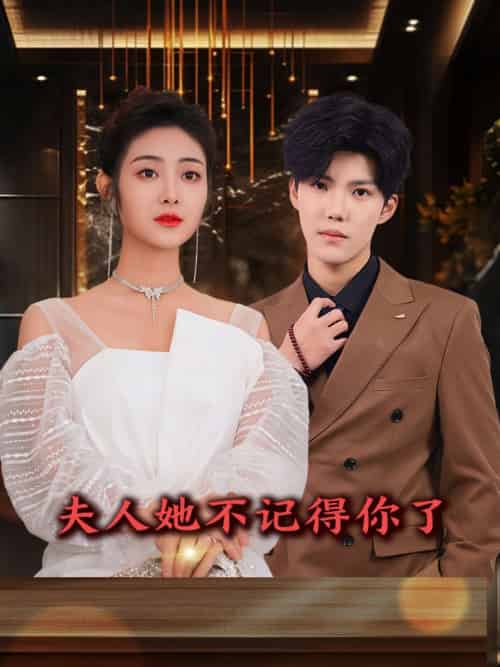 夫人她不记得你了 夫人她不记得你了