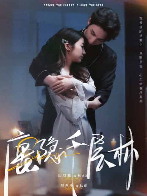 鹿隐千层林 鹿隐千层林