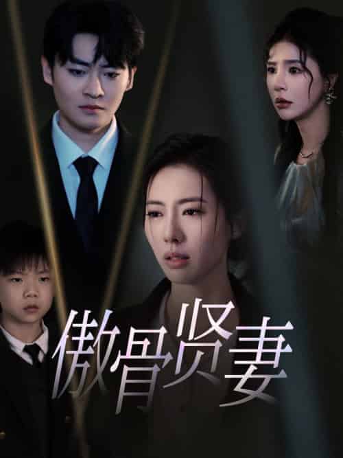 傲骨贤妻（52集全） - 海之城短剧
