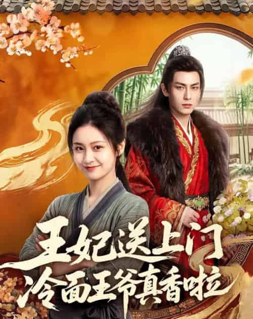 王妃送上门冷面王爷真香啦（50集全）AI-海之城短剧项目