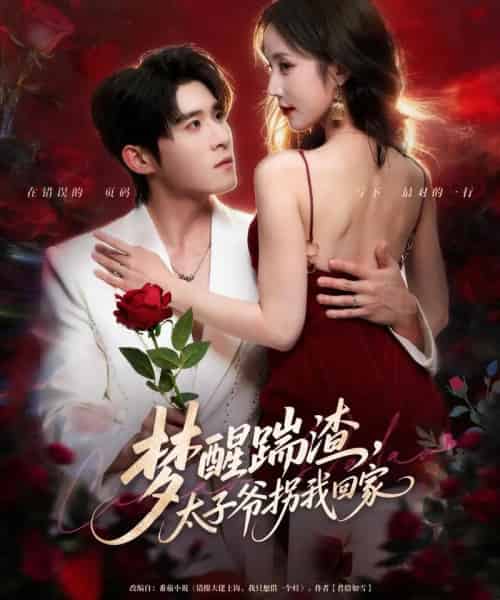 梦醒踹渣，太子爷拐我回家（80集全）黄云云＆杨宇斌-海之城短剧项目