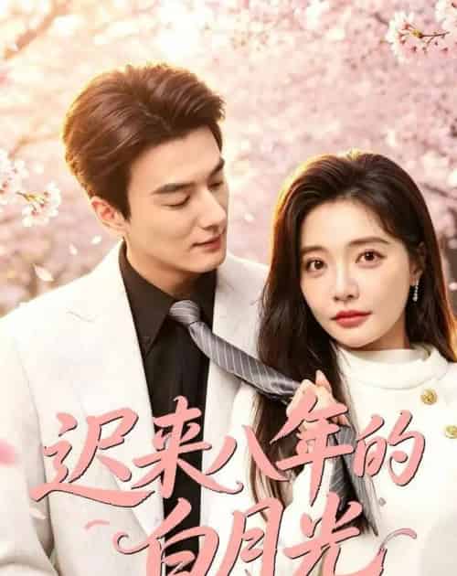 迟来八年的白月光（60集全）张策＆李欣怡-海之城短剧项目
