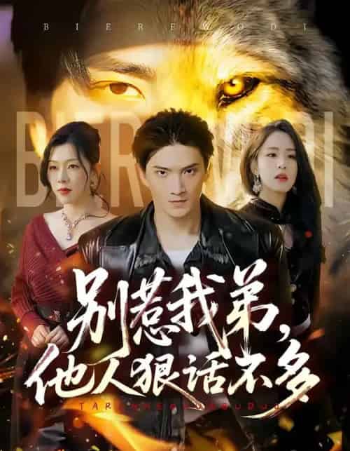 别惹我弟，他人狠话不多（40集全）龚政瑞＆李秋奕-海之城短剧项目