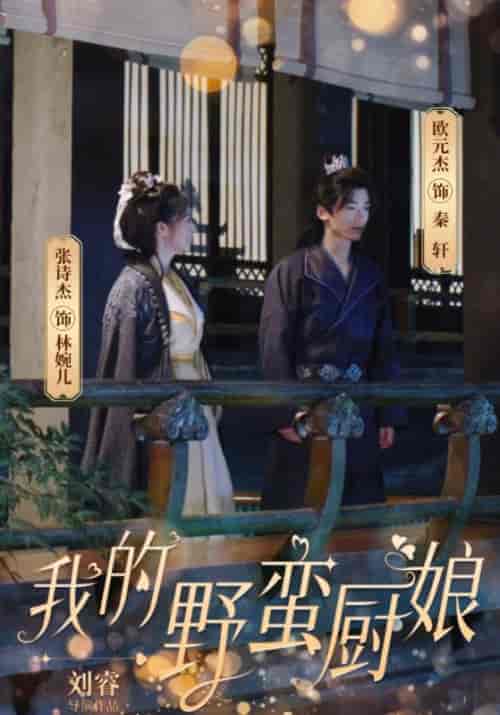 我的野蛮厨娘（64集全） - 海之城短剧