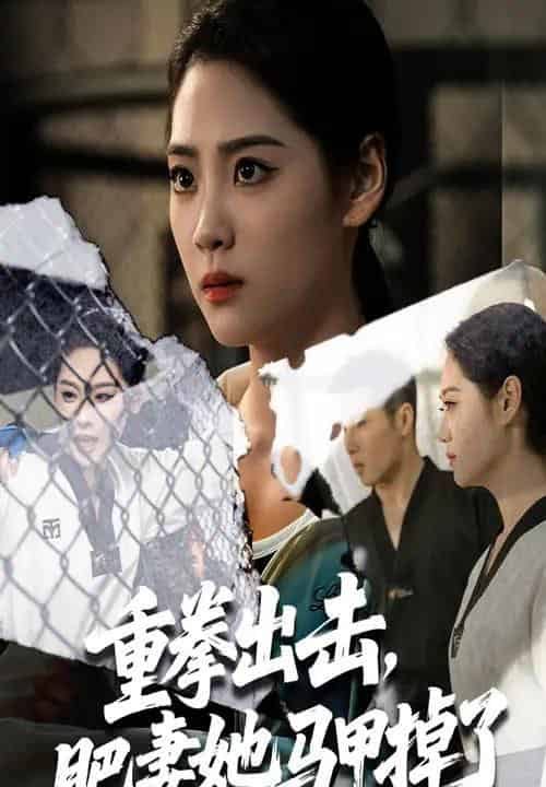 重拳出击肥妻她马甲掉了 重拳出击肥妻她马甲掉了