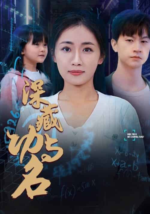 深藏功与名（71集） - 海之城短剧