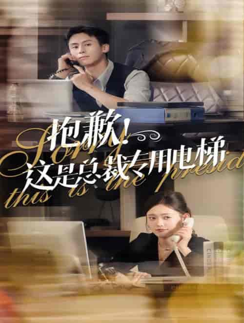 抱歉这是总裁专用电梯（60集全）王寒阳＆四一 - 海之城短剧