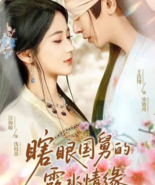 瞎眼国舅的露水情缘（64集）王浩翔＆汪海敏＆董雨霏-海之城短剧项目