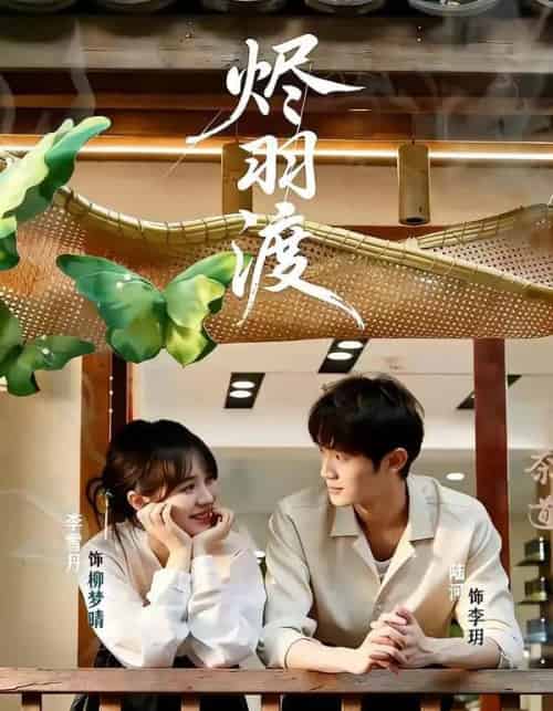 烬羽渡（50集全）陆河＆李雪丹-海之城短剧项目