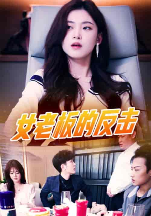 女老板的反击（100集全）黑龙＆张清 - 海之城短剧