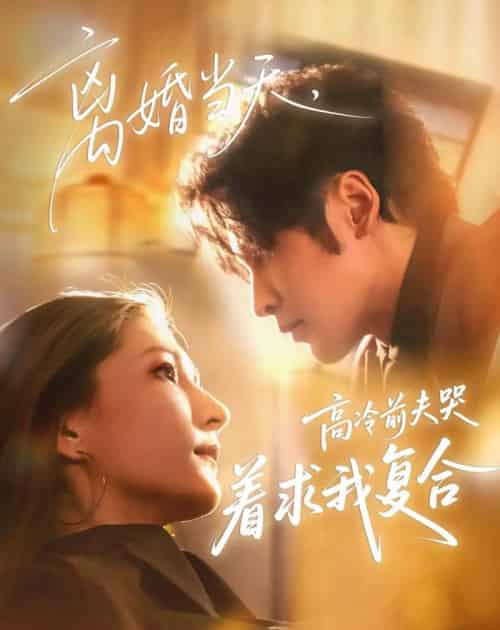 离婚当天，高冷前夫哭着求我复合（77集全）居来提＆崔紫轩-海之城短剧项目