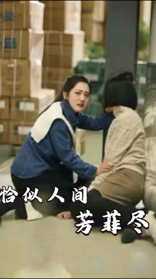 恰似人间芳菲尽（68集） - 海之城短剧