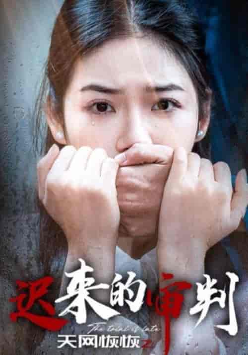 天网恢恢之迟来的审判（31集全）陈建军＆陈小娅 - 海之城短剧