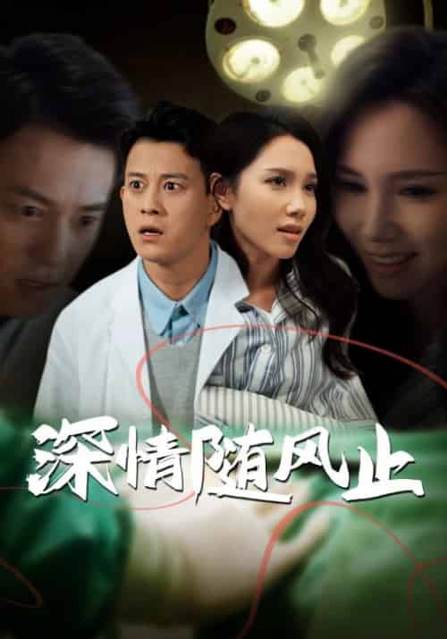 深情随风止（54集全）王轩＆石嫣然 - 海之城短剧