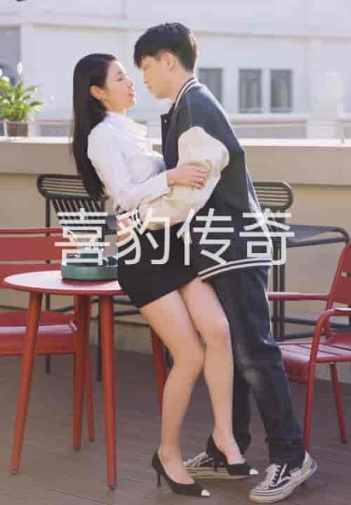 小龙的飞驰人生 小龙的飞驰人生
