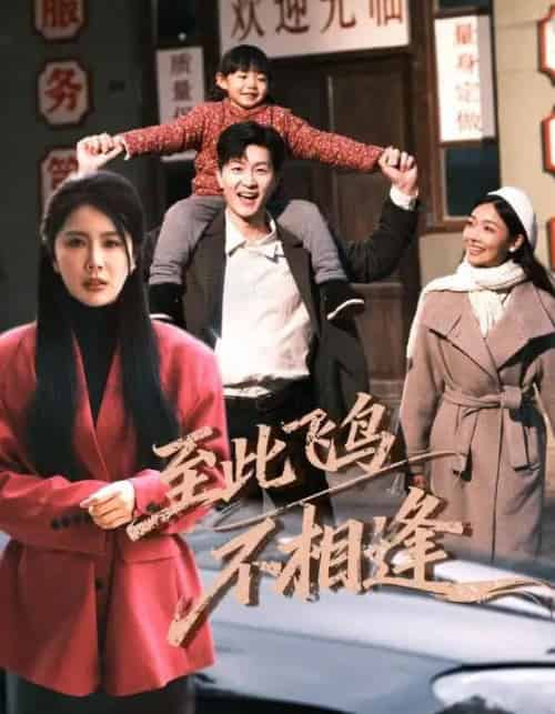 到此飞鸟不相逢（70集全）王鹏＆丁海霞-海之城短剧项目