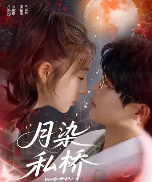 月染私桥（82集全）吕星灼＆秦语啁-海之城短剧项目