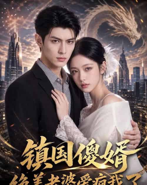 镇国傻婿：绝美老婆爱疯我了（100集全）AI-海之城短剧项目