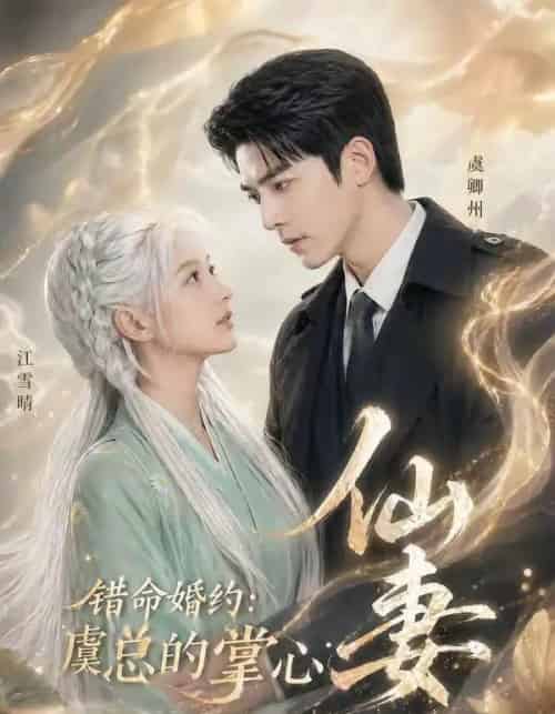 错命婚约虞总的掌心仙妻（89集全）-海之城短剧项目